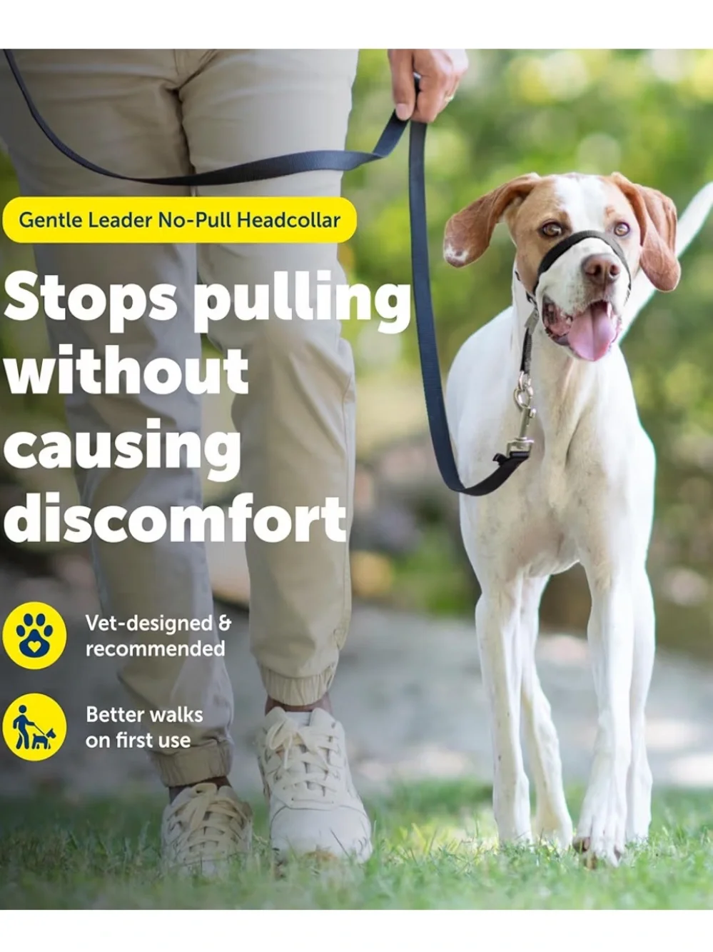 PetSafe gentle leader